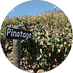 Pinotage